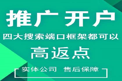 案例解析：SEM推广助力电商转化率提升